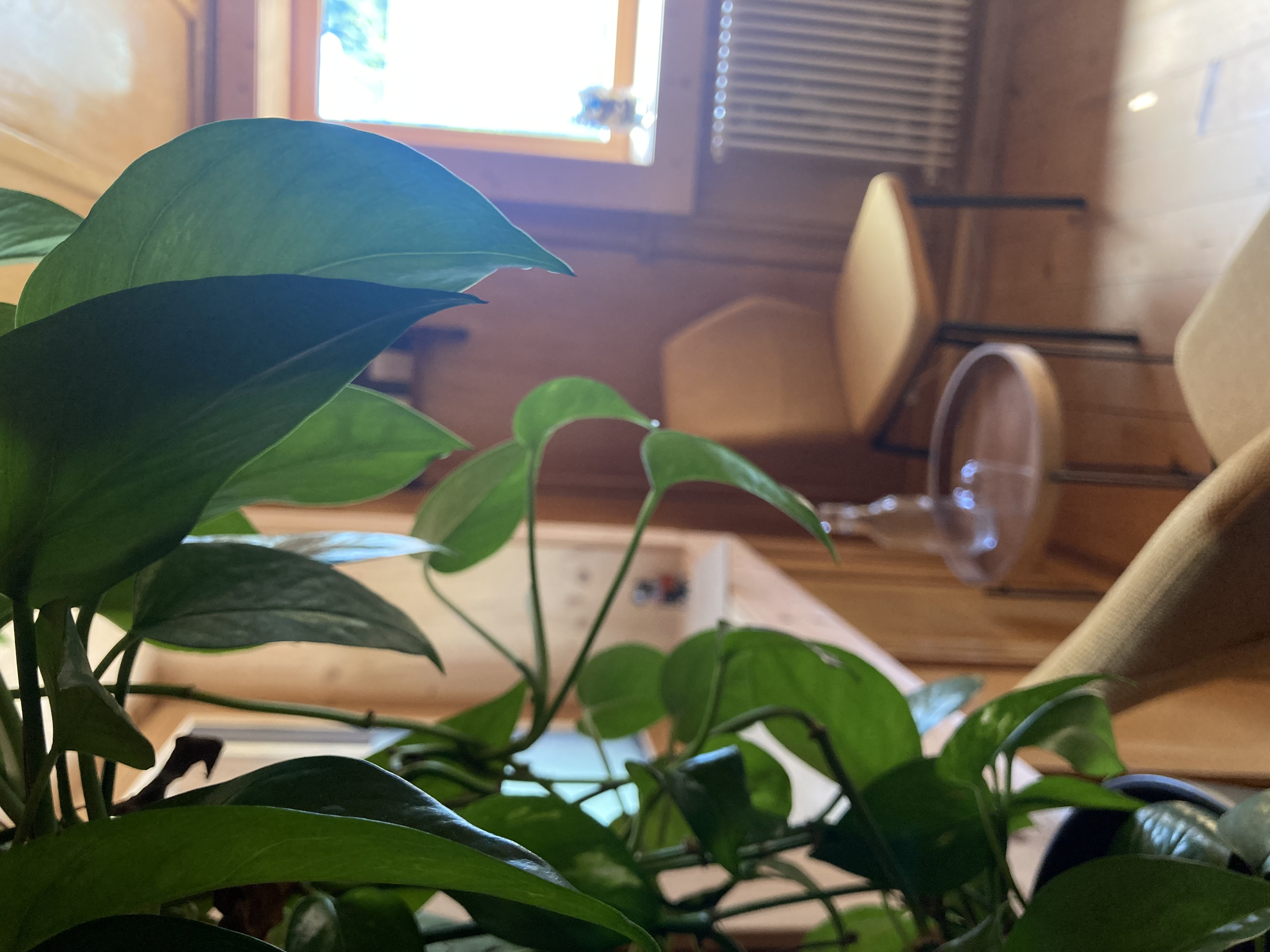 Sitzungszimmer für Mental Health-Coaching